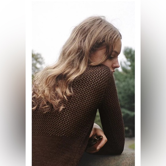 Zara Brown Chenille Dress with Cutwork - Picture 2 of 7